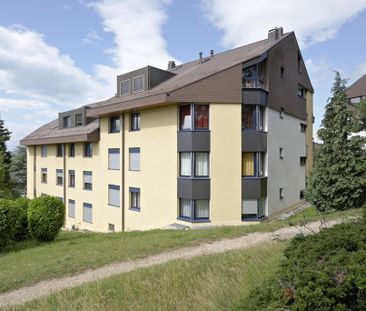 Appartement chaleureux avec mezzanine - Photo 2