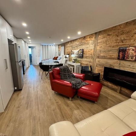 LAVAL DES RAPIDES – Studio Urbain Style Loft à Louer - Photo 4