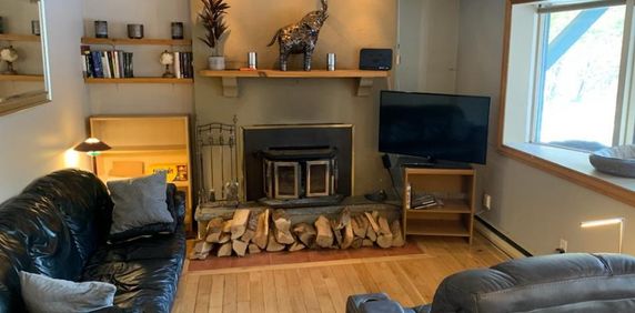 5 1/2 foyer tout inclus (wifi et hydro) terrain bordé d'un étang - Photo 2