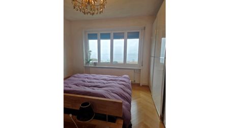 3½ Zimmer-Wohnung in Murten (FR), möbliert, auf Zeit - Photo 3