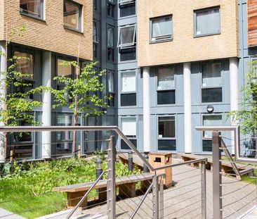 Flat share to rent - Photo 4