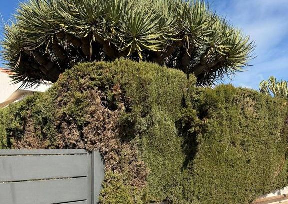 5 room luxury Detached House for rent in Santa Pola, Valencia