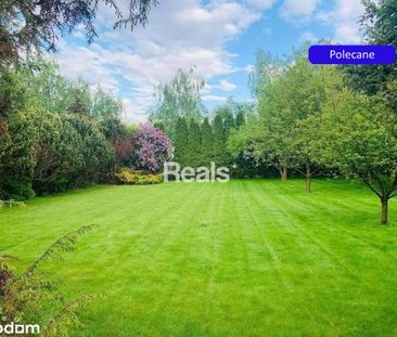 Pruszkowski, Michałowice, Komorów, Ireny - Photo 5