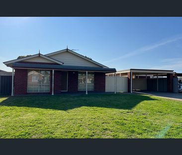 290 - 292 Benetook Avenue, Mildura, Vic 3500 - Photo 3