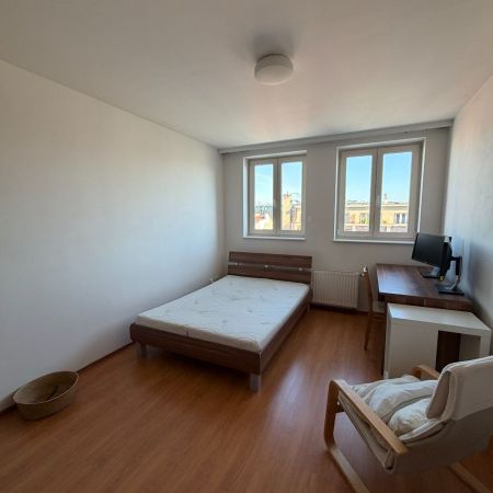 Pronájem bytu 5+kk • 182 m² bez realitkySokolovská, Praha - Karlín - Photo 3