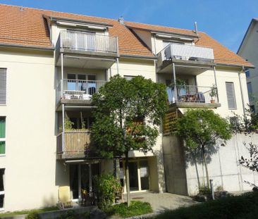 3.5 Zimmer Wohnung - Photo 2