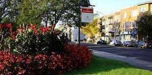 4 1/2 TOUT RÉNOVÉ, CHAUFFAGE ET EAU CHAUDE INCLUS, DISPONIBLE MAINTENANT - Photo 2