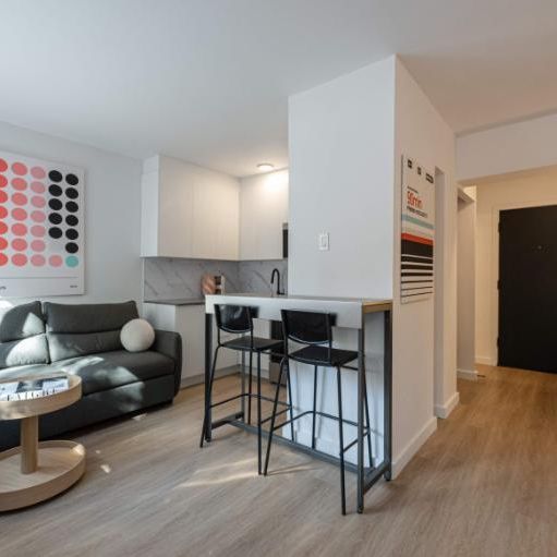 Appartement Une Chambre - Montréal Centre-Ville, Meublé - Photo 1
