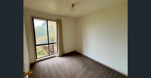 Relaxed Town Living - Photo 1