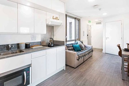 Bronze Studio Lower Level - Photo 2