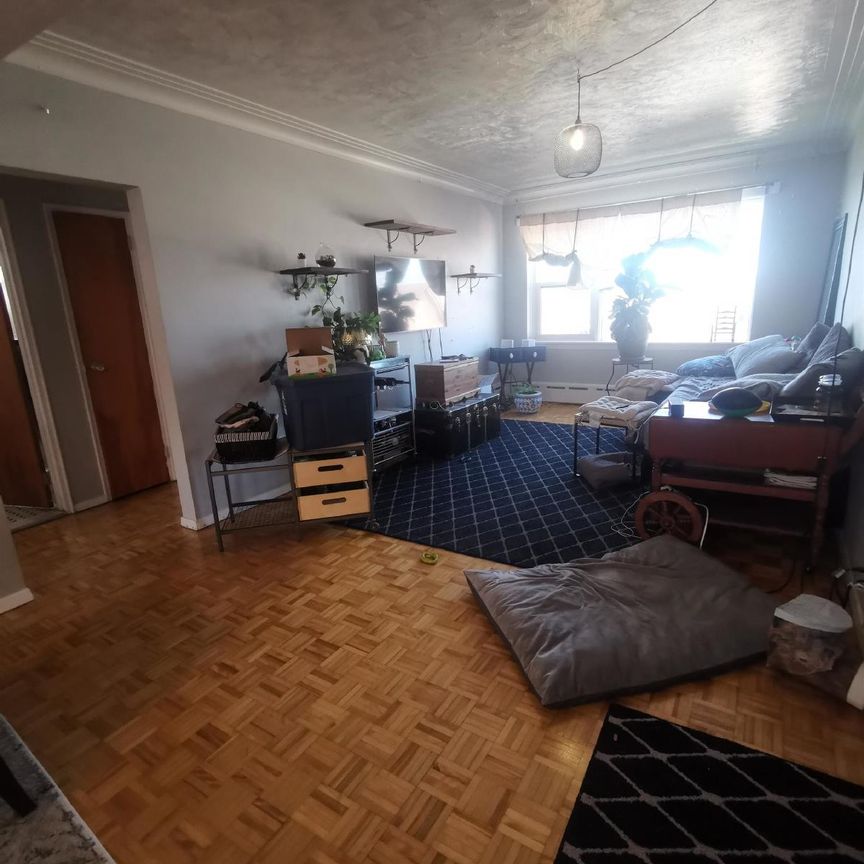 6 - 500 Clarence Street - Photo 1