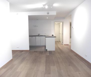 Cygnes 0.1 - Ground Floor, 1 Chambre(s), 83 M2 - 1250€ - Foto 4