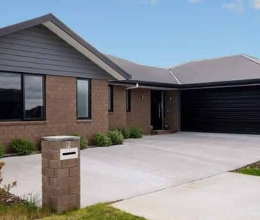 3 Bedroom Home in Omaka - Photo 3