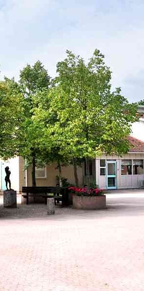 Lambohov, Tröskaregatan 47.10 - Foto 1