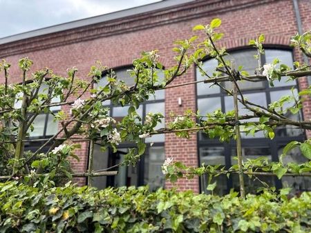 Triplex te huur - Photo 4