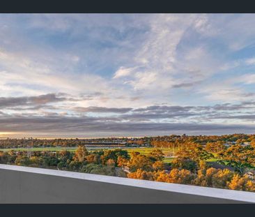 One Bedroom Apartment with District Views! - Photo 4