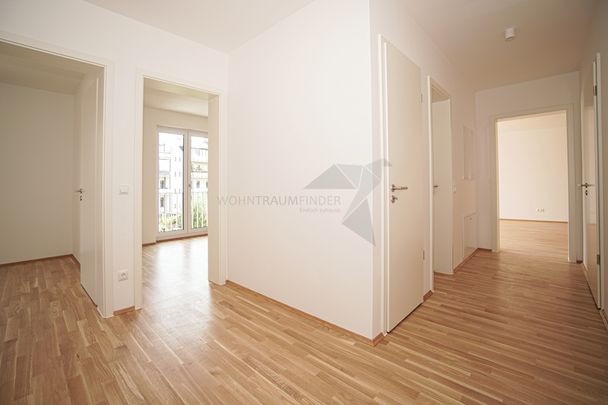 !! Erstbezug !! Hochwertige 4-Zimmer-Wohnung mit TG-Stellplatz, 2 Bädern und 2 Balkonen - Foto 1