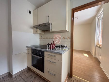 Location Appartement 3 pièces 49m² STRASBOURG 67100 - Photo 3