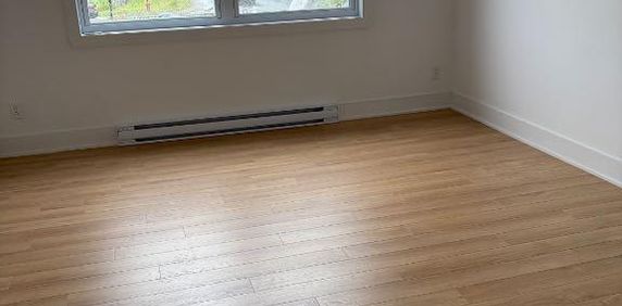 4-1/2 insonorisé libre maintenant chien accepté - Photo 2