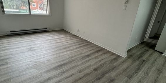 8225 24e Avenue - Photo 3