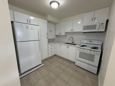 For Lease - 61 Eagleglen Way Unit# Bsmt, Hamilton, Ontario - Photo 2
