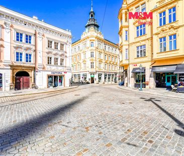 Pronájem bytu 2+1 77 m², Rooseveltova 77, Plzeň Vnitřní Město - Photo 4
