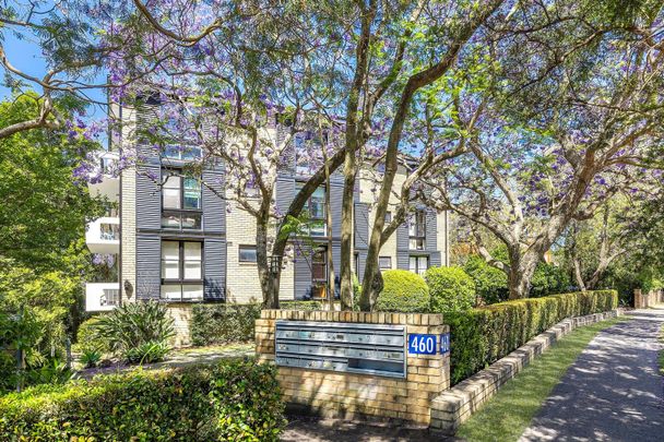 6/460 Pacific Highway, Lindfield NSW 2070 - Apartment For Rent | Domain - Photo 1