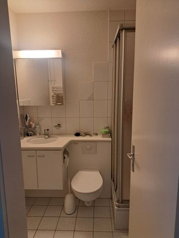 2-ROOM APARTMENT IN THUN (BE), FURNISHED, TEMPORARY - Photo 5