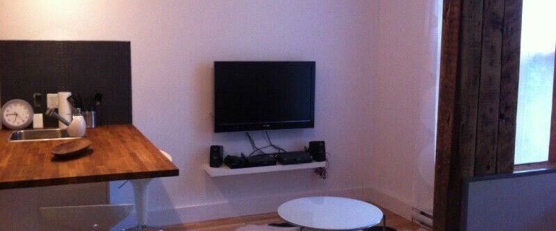 Rosemont – Appartement 3 1/2 meublé à louer - Photo 1