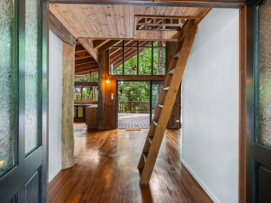 LIVE IN THE RAINFOREST!!!! - Photo 1