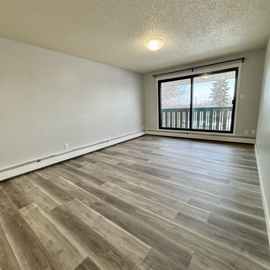 2 weeks free Modern 2-Bedroom Apartment - SMALL PET FRIENDLY! - Photo 1