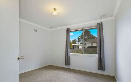 31 Owen Avenue, Wyong, NSW 2259 - Photo 4