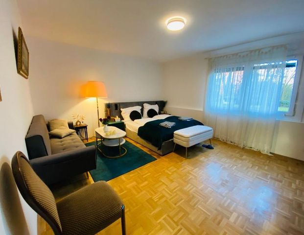 Modernes Studio-Apartment zu vermieten – Verfügbar ab 1. Dezember - Photo 1