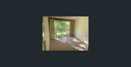 Park Views in Sought After Location! - Photo 3