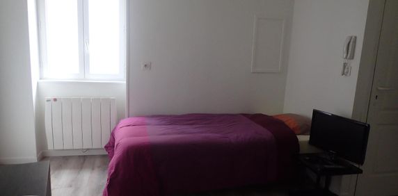Location Appartement 1 pièce 15m² LAVAL 53000 - Photo 2