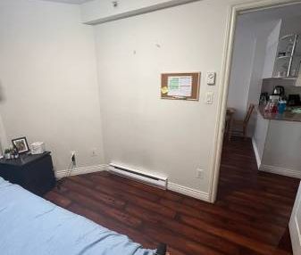 1,700 / 660 ft2 - FULL BEDROOM in 2 bedroom apartment for rent (DOWNT) - Photo 2