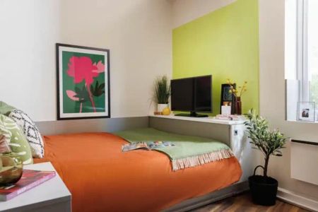 Double Wheelchair Accessible Studio - Photo 5