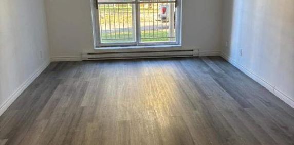 1 CH - 1 SDB - Gatineau - $1,495 /mo - Photo 2