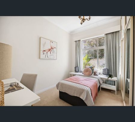 7 Darling Street, Chatswood, NSW 2067 - Photo 3