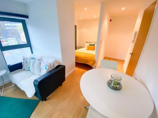 1 bedroom studio to rent - Photo 1
