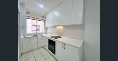 Renovated Unit - Photo 3