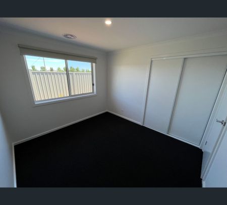 16 Nook Place, Shepparton, Vic 3630 - Photo 3