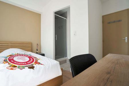 SIVRY L Roommate 3 Bedrooms at Nancy - Photo 3