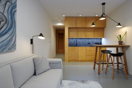 Pronájem bytu 1+kk 28 m² - Photo 2