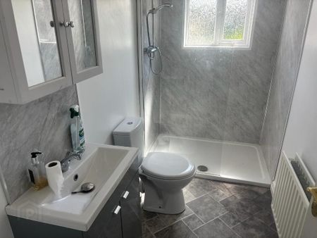 28 Hazelbank Road, Lawrencetown, Banbridge, BT63 6DS - Photo 5