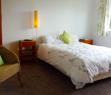 109 Milton Street, The Wood, Nelson - Photo 5