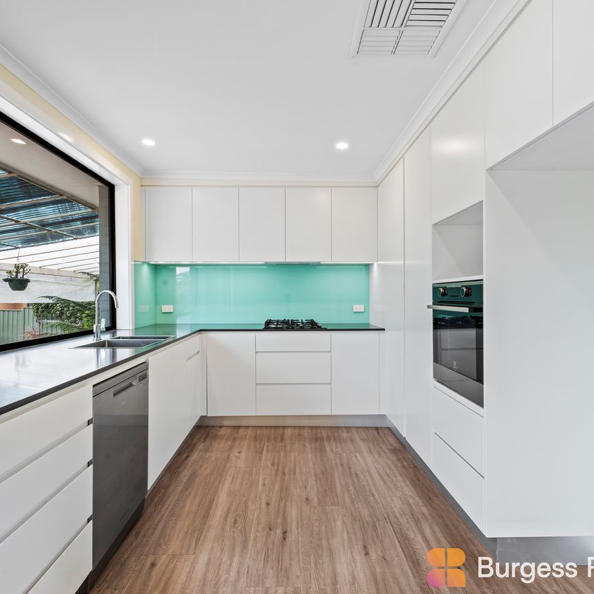 65 Carbeen Street, Rivett ACT 2611 - House For Rent | Domain - Photo 1