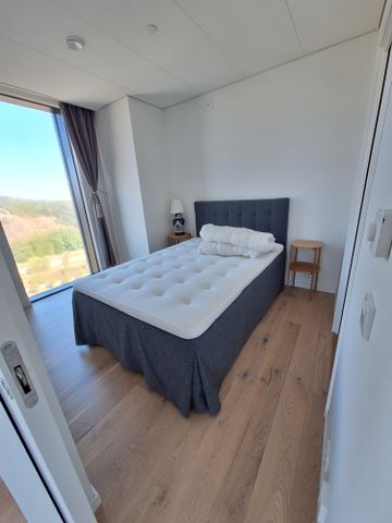 Lodjursstråket, Göteborg - Photo 4