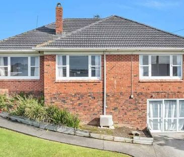 Spacious Family Home in Mount Roskill - Photo 4