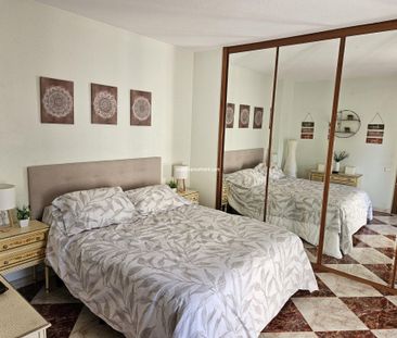 Benidorm Levante Winter and Holiday let - Photo 6